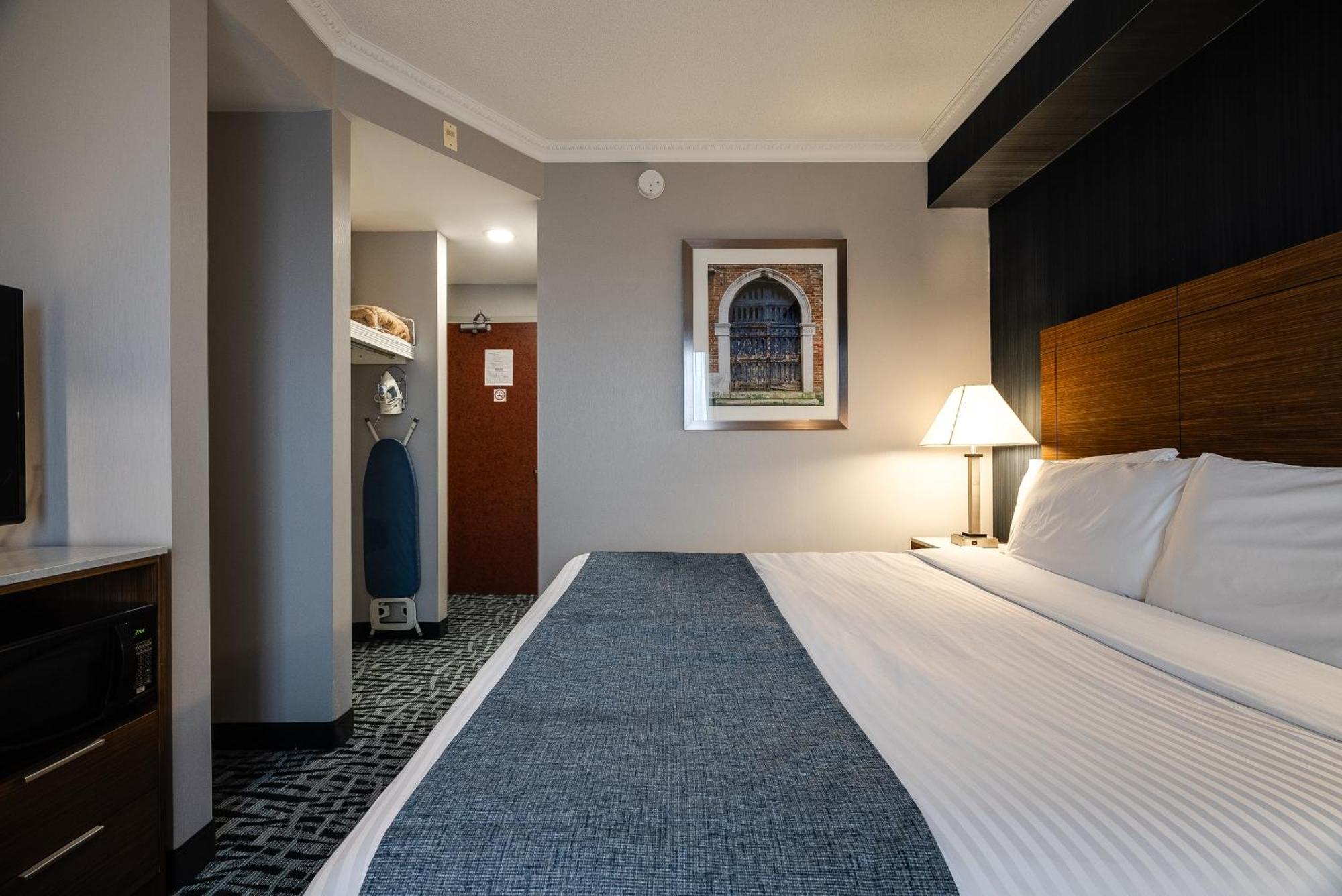 Standard room 1 king bed