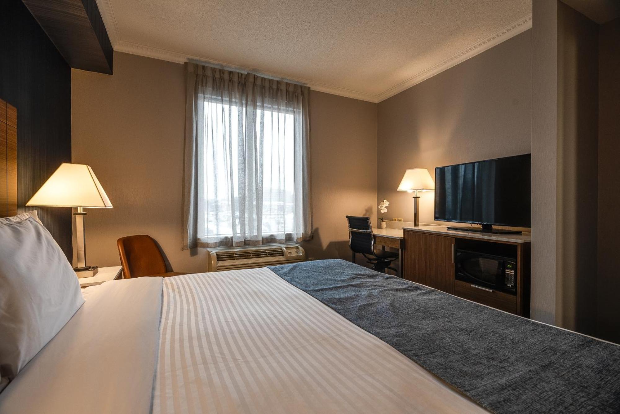 Standard room 1 king bed